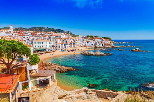 Barcelona Old Town Private Walking Tour with Cruise Tickets
