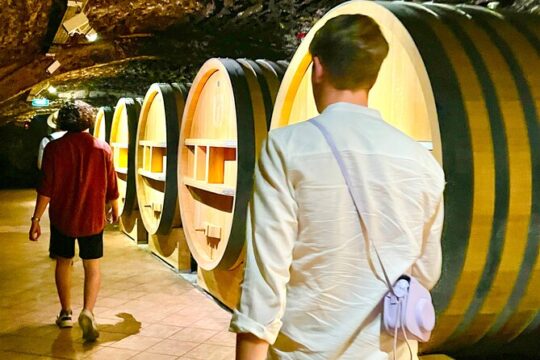 3 hours of Tour in the Wines of Châteauneuf-du-Pape