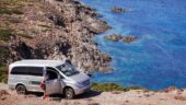 Asinara Island Tour