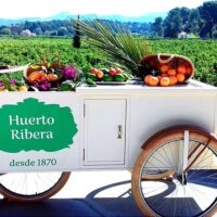 Walking & Biking Tours