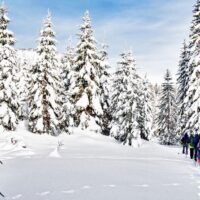 Ski & Snow