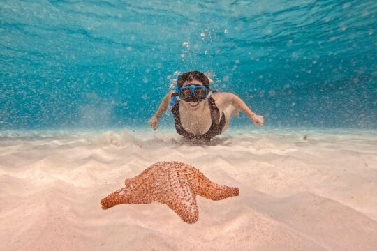 Cozumel: Palancar and Cielito Snorkeling Margaritas & Snacks