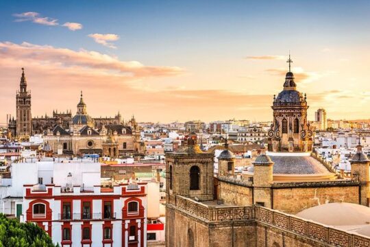 Full-Day Private Guided Cultural Tour of Seville from Granada