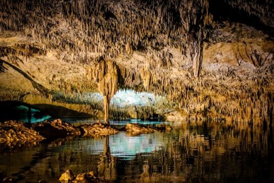 Magical adventure through Tulum. Cenotes, ruins and sculpture tour.