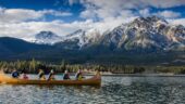Highlight of our two weeks in Jasper/Banff!