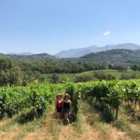 Food, Wine & Nightlife