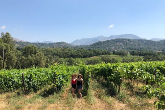 Sperlonga Experience and Wine Tasting Tour