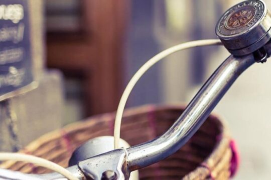 Florence: Bike Tour