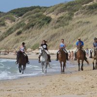 Horseback Riding