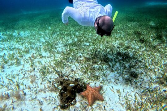 Shared Snorkel Tour In Cozumel