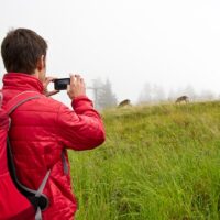 Private & Custom Tours