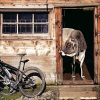 Walking & Biking Tours