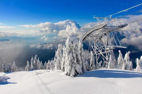 Vancouver City Tour With Stanley, Grouse Mountain & Capillano Suspension Private