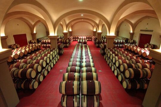 PRIVATE Full-Day Brunello Wine experience from Florence