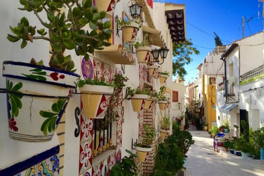Private Half-Day Walking Tour of Alicante