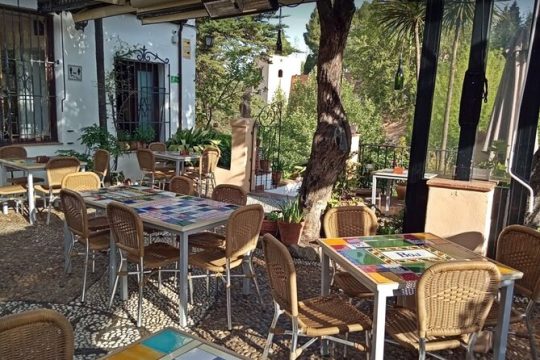 Alhambra and Nasrid Private Walking Tour with Food Tasting