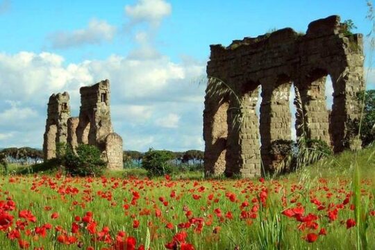 7 Wonders of Ancient with Driver Rome Private Tour from your Hotel in Rome