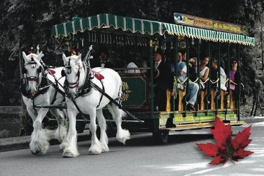 Best Selling Vancouver Sightseeing Tour 5 Hours(Private setting)
