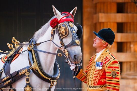 Royal Tour & Buckingham Palace State Rooms or Royal Mews Option