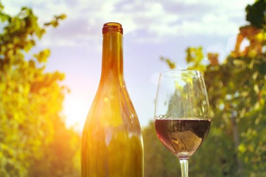 Highlights of Provence : food, wine and seaside in Cassis and Aix