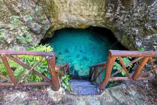 Cenotes Casa Tortugas Tour