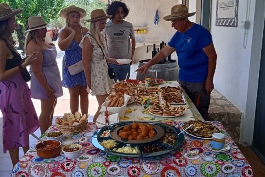 Vineyard Tour, Wine and Sicilian delicacies tasting at a Winery in Agrigento