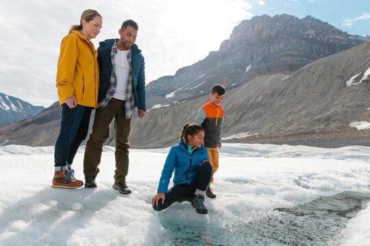 Full Day Tour in Columbia Icefields, Peyto lake and Bow lake