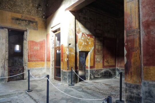 Private Pompeii Tour and Archeological Museum of Naples
