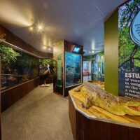 Zoo Tickets & Passes