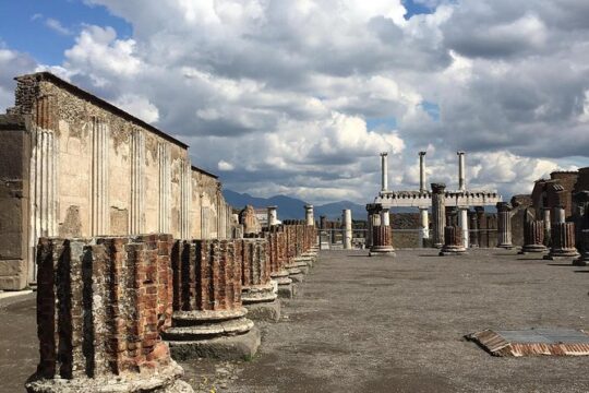 Private Trasportation To Pompeii + Lunch And Wine Tasting 6 Hours Total