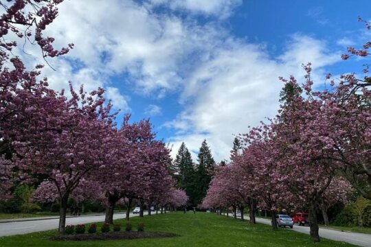 Private Guided Grand City Tour in Vancouver
