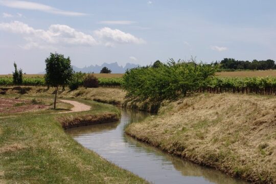 Walking Tour to Parc de la Sèquia from Manresa