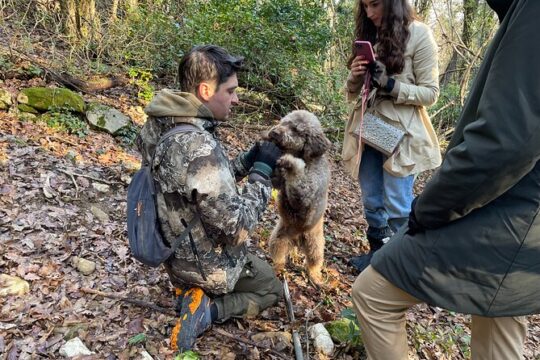 3 Hours Truffle Hunting with Pasta Cooking Class and Lunch