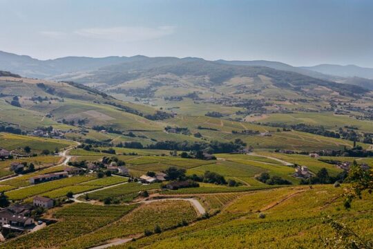 Beaujolais South to North Discovery Private Day Tour with Tastings from Lyon