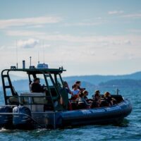 Cruises, Sailing & Water Tours