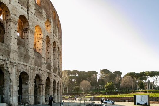 Skip the line Colosseum Roman Forum & Palatine Hill Tour with a Local Guide