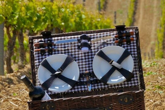 Rioja Wineries and Laguardia Tour with Picnic from San Sebastian