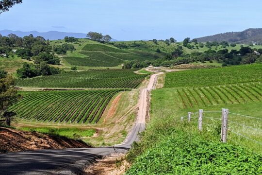 Premium Wine, Cheese and Handmade Chocolates HUNTER VALLEY PRIVATE TOUR
