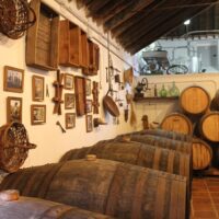 Food, Wine & Nightlife