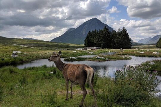 Highlands Private One Day Tour of Scotland