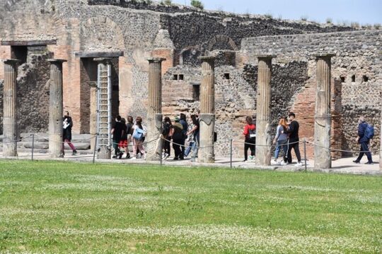 Pompeii Ruins Private Tour Admission Included