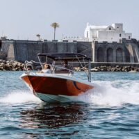 Half-day Tours