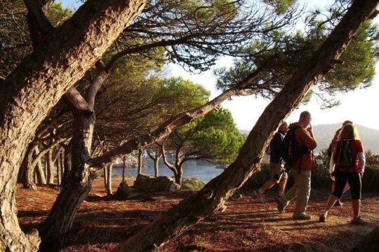 Costa Brava Small Group Hiking Tour from Barcelona