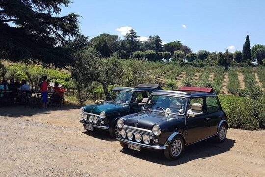 Winery Tour in Mini Cooper Classic Cabrio wine testing and lunch