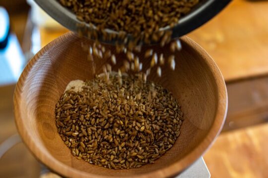 Golden Grains & Gourmet Pasta Cooking Class