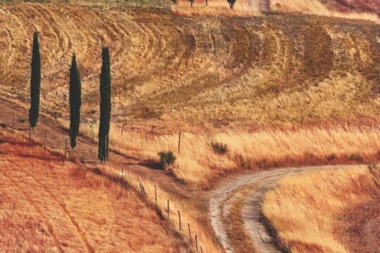 Private Chianti Wine Tour