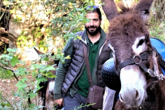 Trekking in Cargeghe with Donkeys Walk & Aperitif