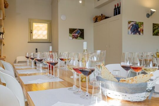 Menu' Wine Tasting
