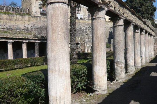 Herculaneum ruins half day tour