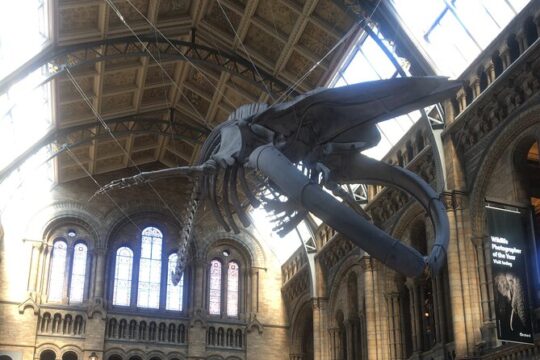 The Natural History Museum Guided Tour in London